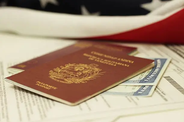 Immigration Services Example 3